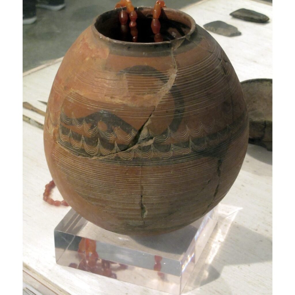 Pot excavated from Burzahom