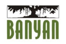 banyan